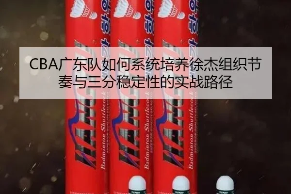 CBA广东队如何系统培养徐杰组织节奏与三分稳定性的实战路径